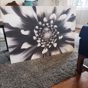 Meet your Posher, Sedonie